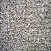 imagem de Carpete em rolo Winchester - Santa Mônica