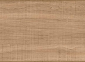 Piso Laminado Floorest Essencial Oak linha Première