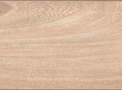 Piso Laminado Floorest Spruce linha Wood