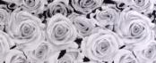 imagem de Revestimento Rosas Linha Luxo - Ceusa