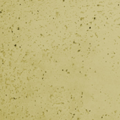 imagem de Revestimento Cimentício Aerado Kraft - Dacapo