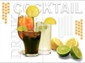 Kit Decorado Cocktail 33x46 - Ceral