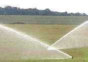 imagem de Sistemas de irrigação IRRIGAM
