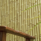 imagem de Revestimento Linha Naturale - Bambu Imperial