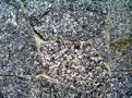 Granito Rachado - Hiper Pedras