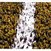 imagem de Grama Sintética Gold - Sportgrass
