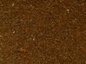 Granito Giallo Napole - Brasigran