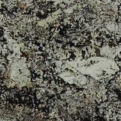 imagem de Granito Bianco Torrone Clássico - Brasigran