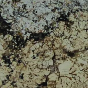 imagem de Granito Gran Torrone - Brasigran
