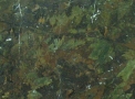 Granito Amarula - Brasigran