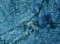 Granito Azul Bahia - Tamboré