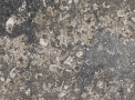 Limestone Razotica Brown - Tamboré