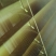 imagem de Persiana Horizontal Alumínio 50mm - Vertiflex