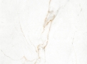 Porcellanato Imaggio HD Pighes Bianco - Biancogres