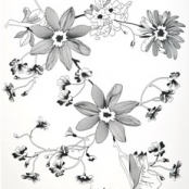 imagem de Porcellanato Fiori Nanquino - Biancogres