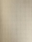 imagem de Porcellanato Laminum Filo Argento 300x100cm - Eliane