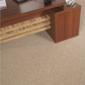 imagem de Carpete Trellis Comercial - Beaulieu